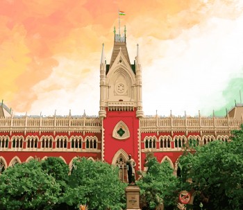 Read more about the article The judiciary